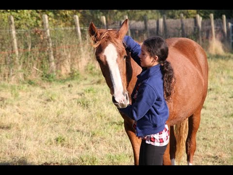 Melle MT-T Mein Topmodel FS Mr Right/FS Dont' Worry