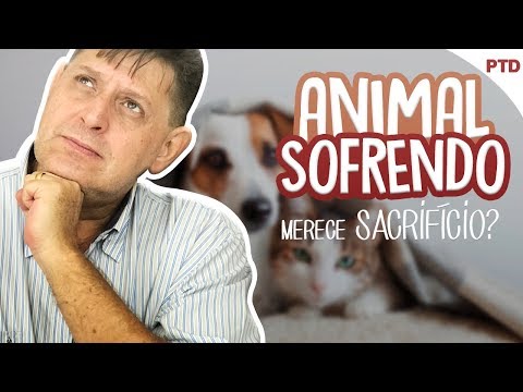 PTD nº 444 - Podemos sacrificar um animal que está sofrendo?