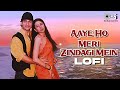 Aaye Ho Meri Zindagi Mein - Lofi Mix | Alka Yagnik, Udit Narayan | Aamir Khan, Karisma | 90's Hits