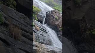 Download lagu Kodi Aruvi kottuthe Kutralam main Aruvi#falls#water #waterfall # Kutralam #tamil #song #music #trend mp3