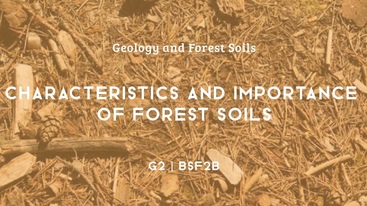 CHARACTERISTICS AND IMPORTANCE OF FOREST SOIL | G2