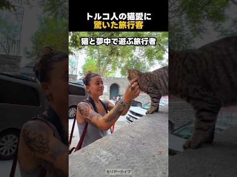 トルコ人の猫愛に驚いた旅行客
