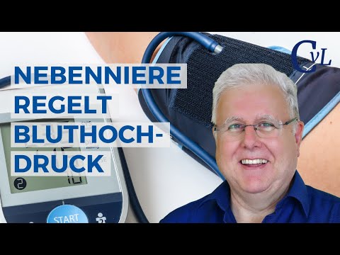 Adrenal gland regulates high blood pressure; diabetes, hot flashes, water balance, testosterone