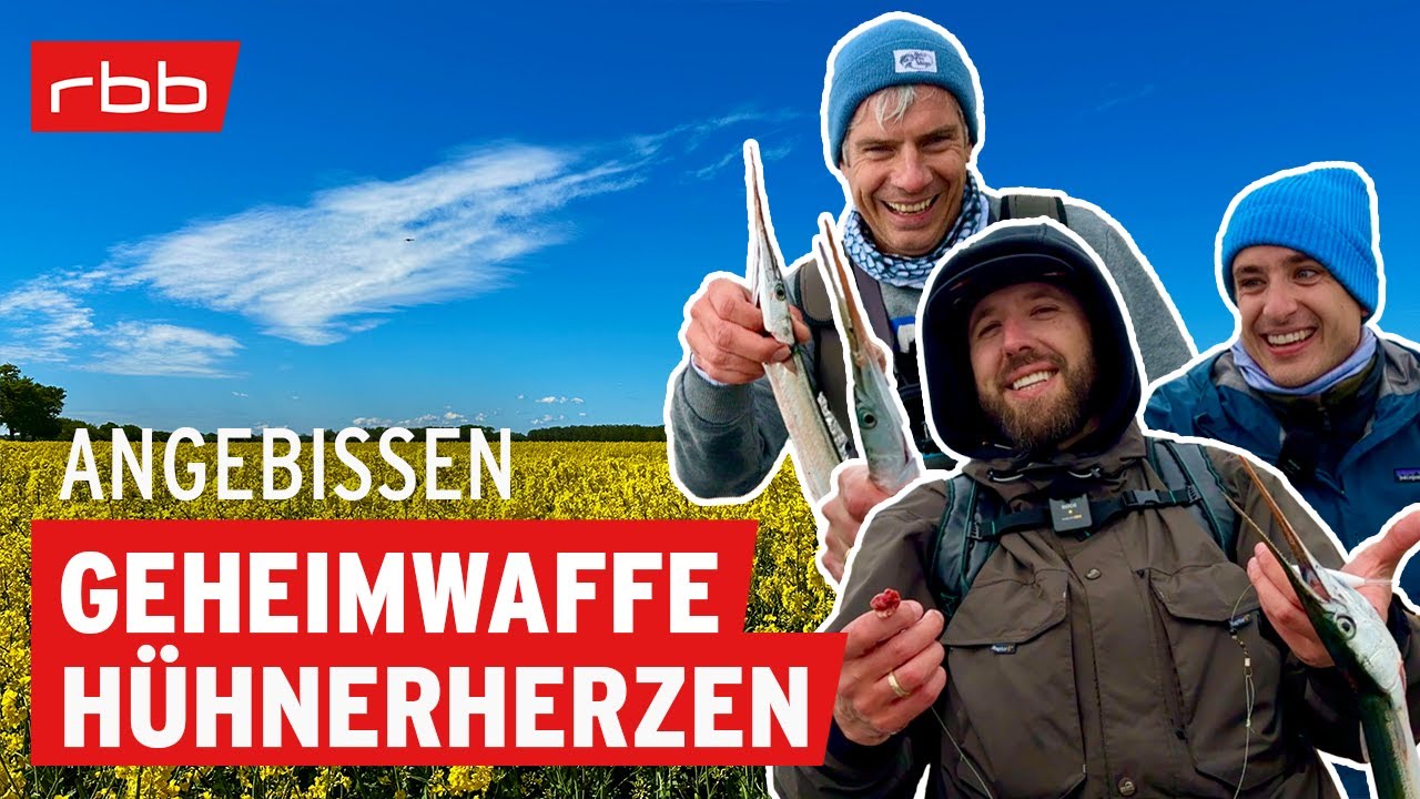 Die Hornhecht-Challenge: Welche Methoden bringen Fisch? | Angebissen #199 | Angelpodcast