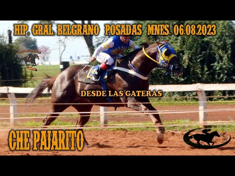 CHE PAJARITO - CLASICO - HIPODROMO GRAL. BELGRANO, POSADAS, MISIONES 06.08.2023