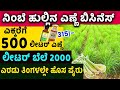 LEMON GRASS FARMING  | Lemongrass Oil Manufacturing Business | Money Factory Kannada
