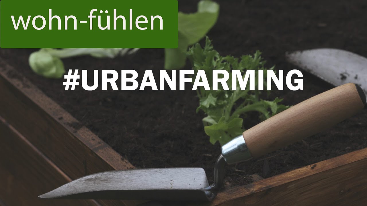 Selbstversorger in der Stadt - urbanfarming