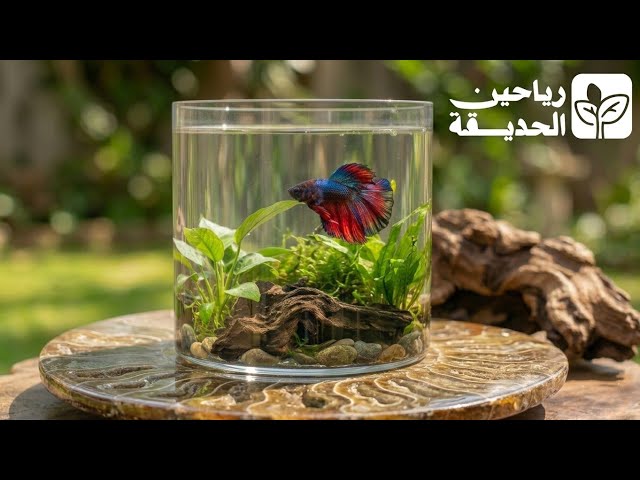 فازة سمكة و نبتة وزينة حياة داخل زجاجة