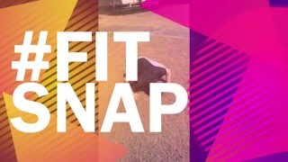 #FitSnap