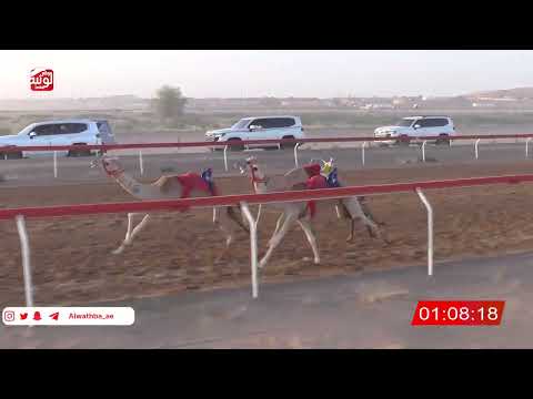  ش 8 (الظبي) لـ محمد غدير بن سالم الوهيبي 2:16 ، شارة صندوق حلفه 2026/05/10 فطامين الجبيب
