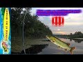 Поиск щуки на погибающей реке!!!Молочная в опасности!!!Отчет! Поиск щуки на погибающей реке!!!Молочная в опасности!!!Отчет!