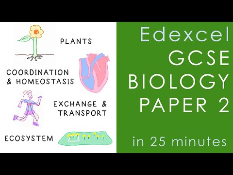 All of Edexcel BIOLOGY Paper 2 in 25 minutes - GCSE Science Revision