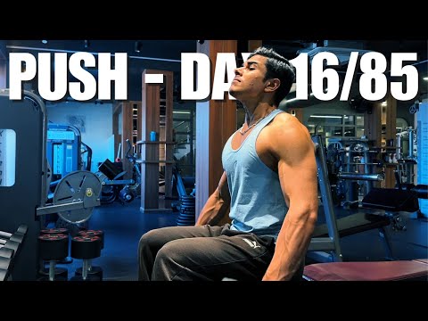 Push - Spring Bulk Day 16/85