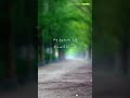 Akkam Pakkam Cute Lovers Whatsapp Status Tamil Vertical Shorts Iamyourbeats Shorts Song Lyrics