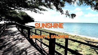 Sunshine Music Video