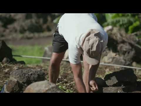 Nous, gens de la terre - La Réunion / Extrait