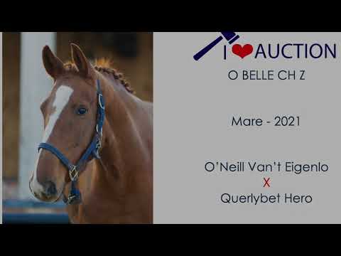O Belle CH under the saddle