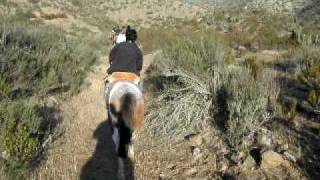preview picture of video 'HORSE RIDING in CHILE, VALLE DEL ELQUI, border of ATACAMA desert'