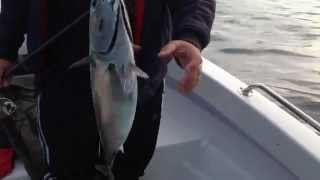 Воблер tsuribito hard minnow 95f