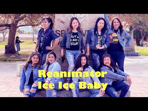 Reanimator feat. Big Daddi and Vanilla Ice/ Ice ice Baby Salsa / Zumba