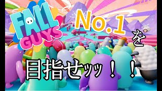 FallGuys やってみるでええええええええええええええええ（下手なの許して）