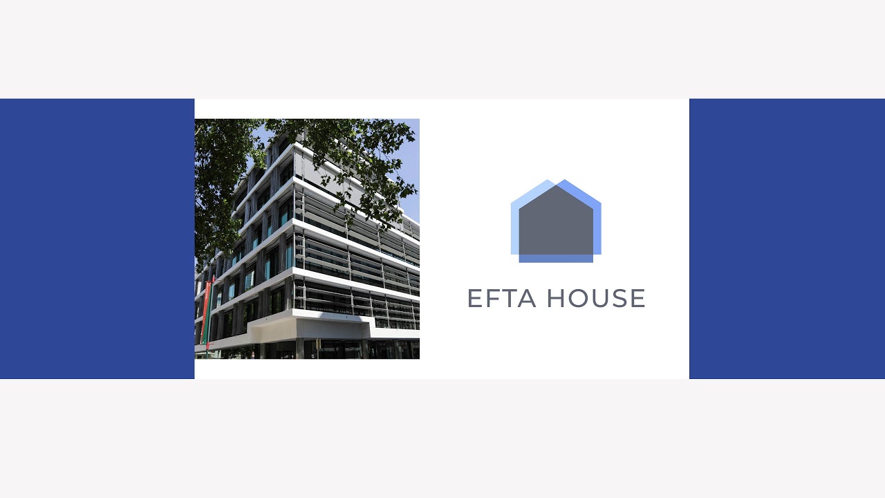European Economic Area - Joint parliamentary committee