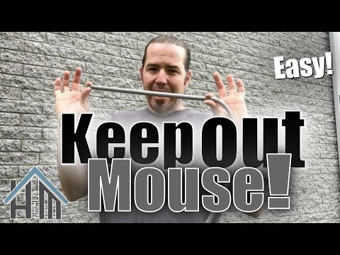 How to keep out mice and other pests! How to seal up exterior! Easy!