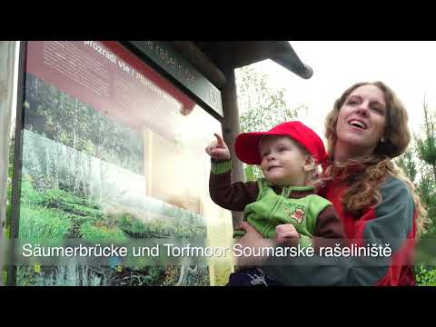 Goldsteig Tschechien 1-2 (České Žleby - Volary - Prachatice)