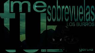 MANOLO GARCíA &amp; LOS BURROS Tu me sobrevuelas PLANEt26