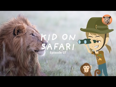 The Big Five (Educational Kids Content)