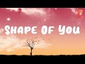 Ed Sheeran Shape Of You Lyrics Songs