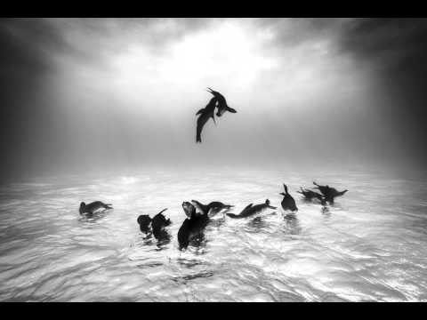 Krumelur - Blurry Sequence (Minimal Criminal Rmx)