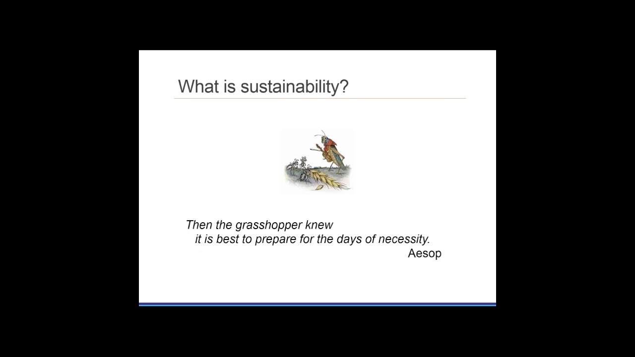 Creating Programs that Last: Foundations of Sustainability