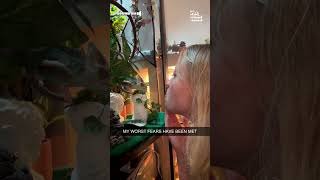 Miniature vidéo