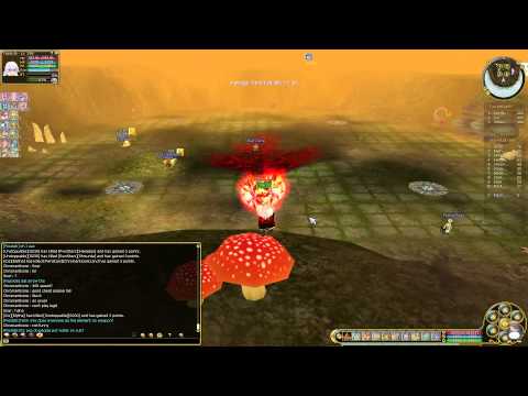 Insanity Flyff Siege (Part 2)