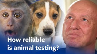 Is animal testing reliable? Johns Hopkins professor answers by The Humane Society of the United States