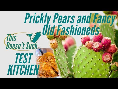 Prickly Pears and Fancy Old Fashioneds - Cocktail Test Kitchen