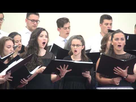 Corul Wien II - Picuri de lumină