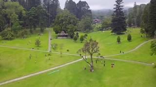 Download lagu View Kebun Raya Cibodas Pakai Drone Mavic mp3 Download lagu View Kebun Raya Cibodas Pakai Drone Mavic mp3