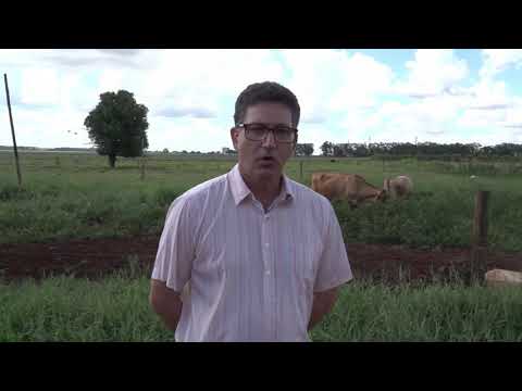 UFGD Ciência 04/2019 - Professor Clandio Favarini Ruviaro