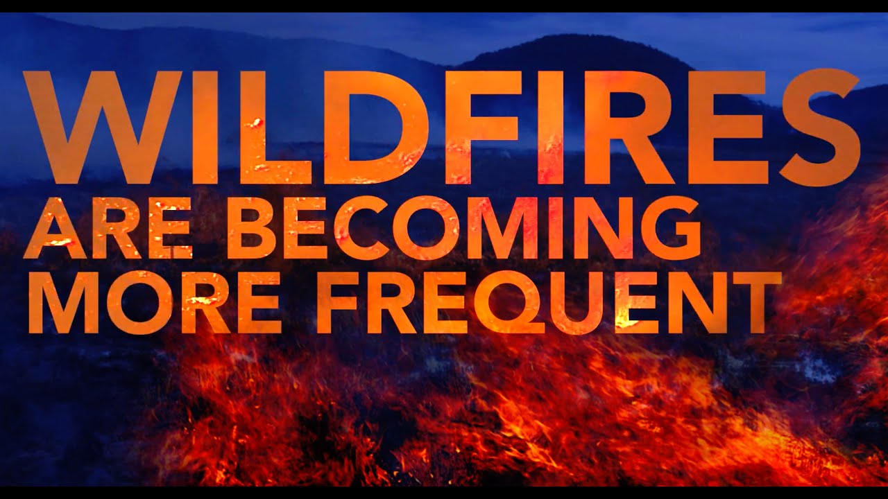 Fighting fire with software