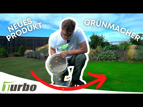 Kaliumdünger für den Rasen | Gegen Hitze und Kältestress | Turbogrün