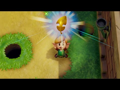 prince richard and the 5 golden leaves link's awakening