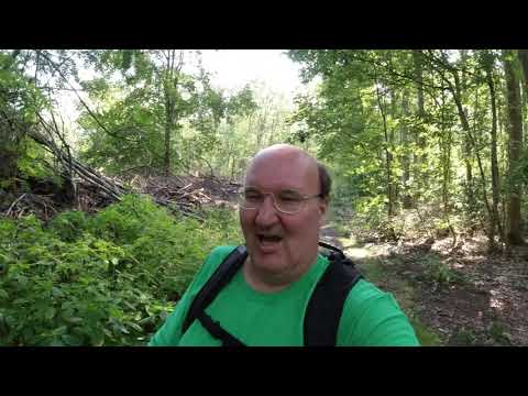 MongoTV_3327 - English Vlog_0177 - Part 1 - Walk In Small Forest In Frederiksdal