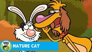 NATURE CAT  Super Secret Spy Mission!  PBS KIDS