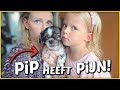 HET GAAT NiET GOED MET PiP! ? | Bellinga Vlog #1451