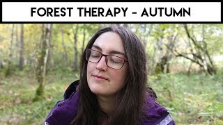 Forest Therapy - Autumn 2018 ✿ Shinrin-Yoku ✿ Scotland Forest