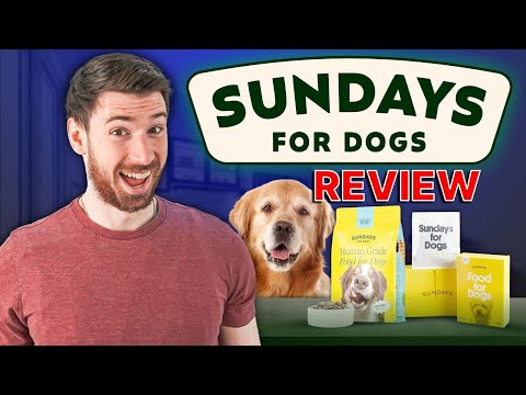 Sundays for Dogs Review | We Tested Sundays Dog Food – Here’s What Happened