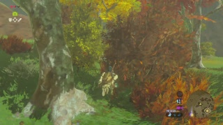 ゼルダの伝説ブレスオブザワイルド　初見プレイ#8　北へ