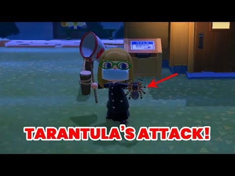 Tarantulas' Attack in Animal Crossing New Horizons - BEWARE!
